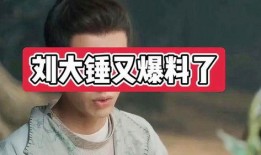 刘大锤爆料最新消息,最新热点事件内幕大揭秘！