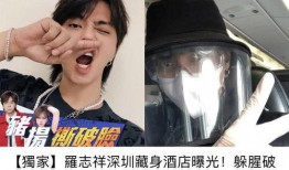 深圳罗志祥最新爆料,揭秘娱乐圈惊人内幕