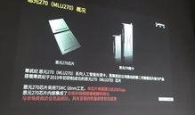 新款芯片爆料视频下载